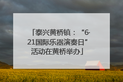 泰兴黄桥镇：“6·21国际乐器演奏日”活动在黄桥举办