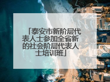 泰安市新阶层代表人士参加全省新的社会阶层代表人士培训班