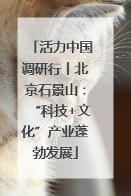 活力中国调研行丨北京石景山：“科技+文化”产业蓬勃发展