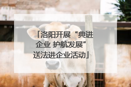 洛阳开展“典进企业 护航发展”送法进企业活动