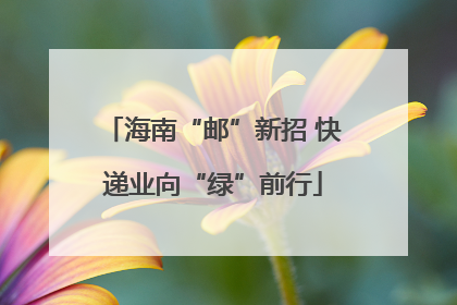 海南“邮”新招 快递业向“绿”前行