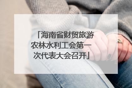 海南省财贸旅游农林水利工会第一次代表大会召开