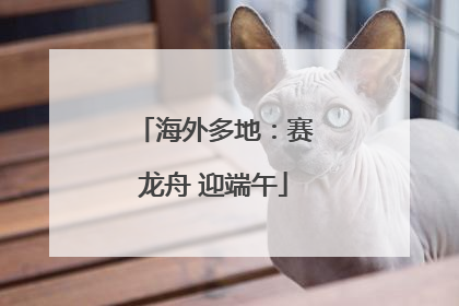 海外多地：赛龙舟 迎端午