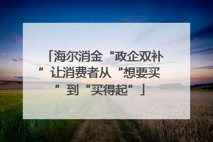 海尔消金“政企双补”让消费者从“想要买”到“买得起”