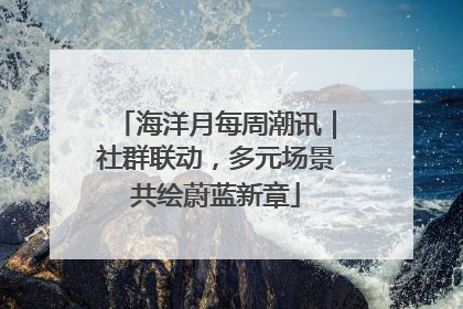海洋月每周潮讯｜社群联动，多元场景共绘蔚蓝新章