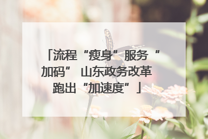 流程“瘦身”服务“加码” 山东政务改革跑出“加速度”