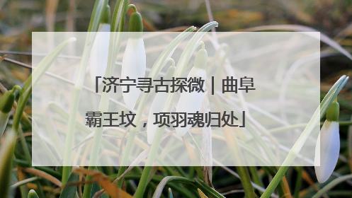 济宁寻古探微｜曲阜霸王坟，项羽魂归处