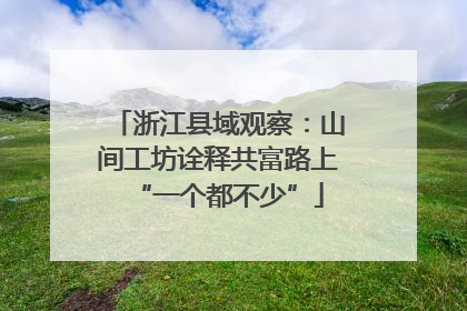 浙江县域观察：山间工坊诠释共富路上“一个都不少”