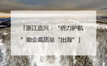 浙江嘉兴：“侨力护航”助企高质量“出海”