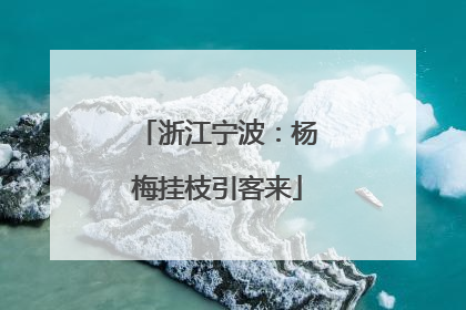 浙江宁波：杨梅挂枝引客来