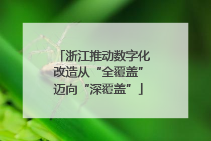 浙江推动数字化改造从“全覆盖”迈向“深覆盖”