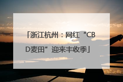 浙江杭州：网红“CBD麦田”迎来丰收季