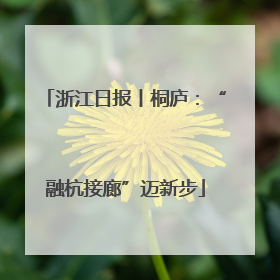 浙江日报丨桐庐：“融杭接廊”迈新步