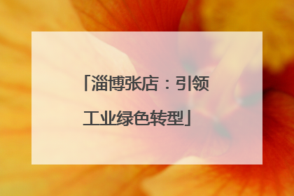 淄博张店：引领工业绿色转型