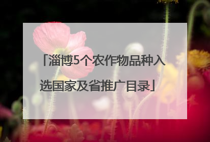 淄博5个农作物品种入选国家及省推广目录