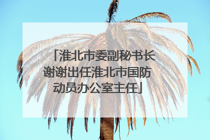 淮北市委副秘书长谢谢出任淮北市国防动员办公室主任