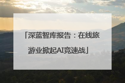 深蓝智库报告：在线旅游业掀起AI竞速战