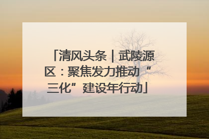 清风头条｜武陵源区：聚焦发力推动“三化”建设年行动