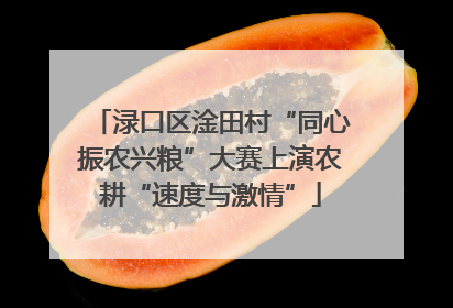 渌口区淦田村“同心振农兴粮”大赛上演农耕“速度与激情”