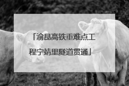 渝昆高铁重难点工程宁靖里隧道贯通