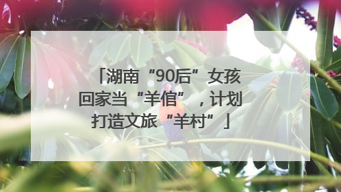 湖南“90后”女孩回家当“羊倌”，计划打造文旅“羊村”