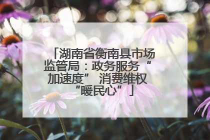 湖南省衡南县市场监管局：政务服务“加速度” 消费维权“暖民心”