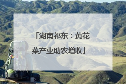 湖南祁东：黄花菜产业助农增收
