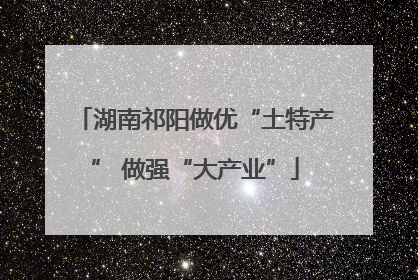 湖南祁阳做优“土特产” 做强“大产业”