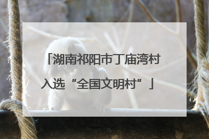 湖南祁阳市丁庙湾村入选“全国文明村”
