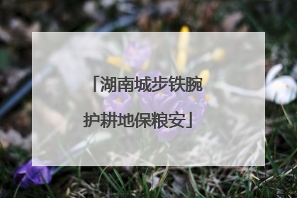 湖南城步铁腕护耕地保粮安