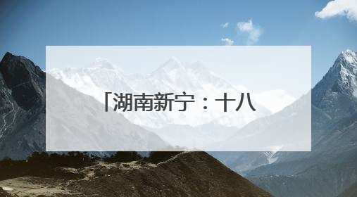 湖南新宁：十八载寻亲路终抵团圆站 爱心接力织就温情归家网