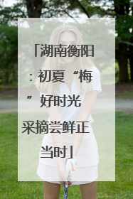 湖南衡阳：初夏“梅”好时光 采摘尝鲜正当时