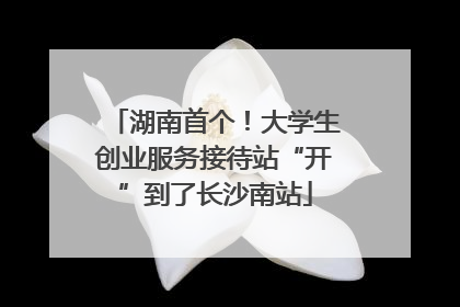 湖南首个！大学生创业服务接待站“开”到了长沙南站