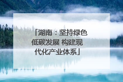 湖南：坚持绿色低碳发展 构建现代化产业体系