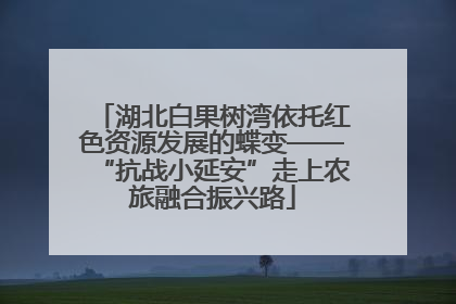 湖北白果树湾依托红色资源发展的蝶变——“抗战小延安”走上农旅融合振兴路
