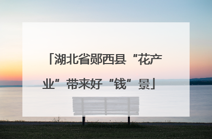 湖北省郧西县“花产业”带来好“钱”景