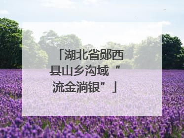 湖北省郧西县山乡沟域“流金淌银”