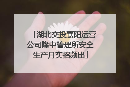湖北交投襄阳运营公司隆中管理所安全生产月实招频出