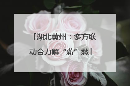 湖北黄州：多方联动合力解“薪”愁