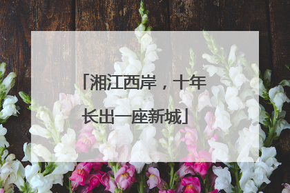 湘江西岸，十年长出一座新城