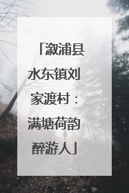 溆浦县水东镇刘家渡村：满塘荷韵醉游人