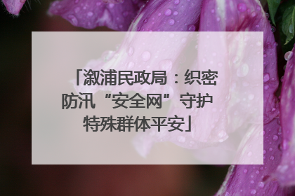 溆浦民政局：织密防汛“安全网”守护特殊群体平安
