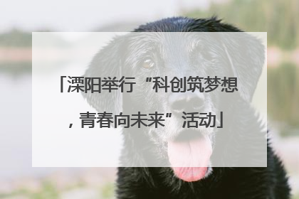 溧阳举行“科创筑梦想，青春向未来”活动