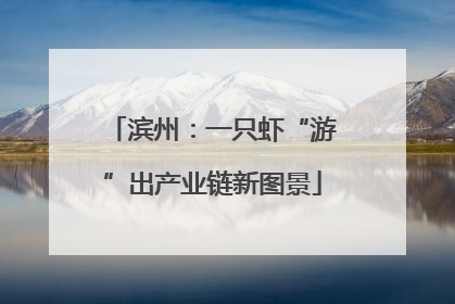 滨州：一只虾“游”出产业链新图景