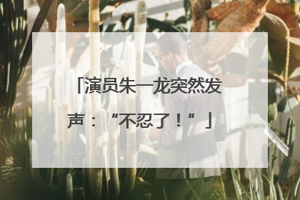 演员朱一龙突然发声：“不忍了！”