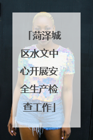 菏泽城区水文中心开展安全生产检查工作