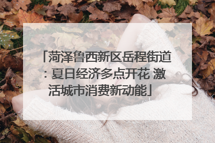 菏泽鲁西新区岳程街道：夏日经济多点开花 激活城市消费新动能