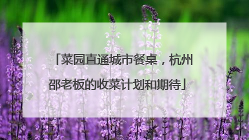 菜园直通城市餐桌，杭州邵老板的收菜计划和期待