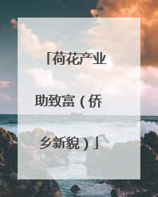 荷花产业助致富（侨乡新貌）