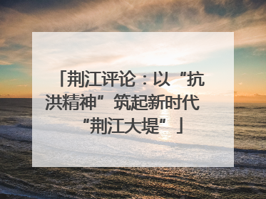 荆江评论：以“抗洪精神”筑起新时代“荆江大堤”